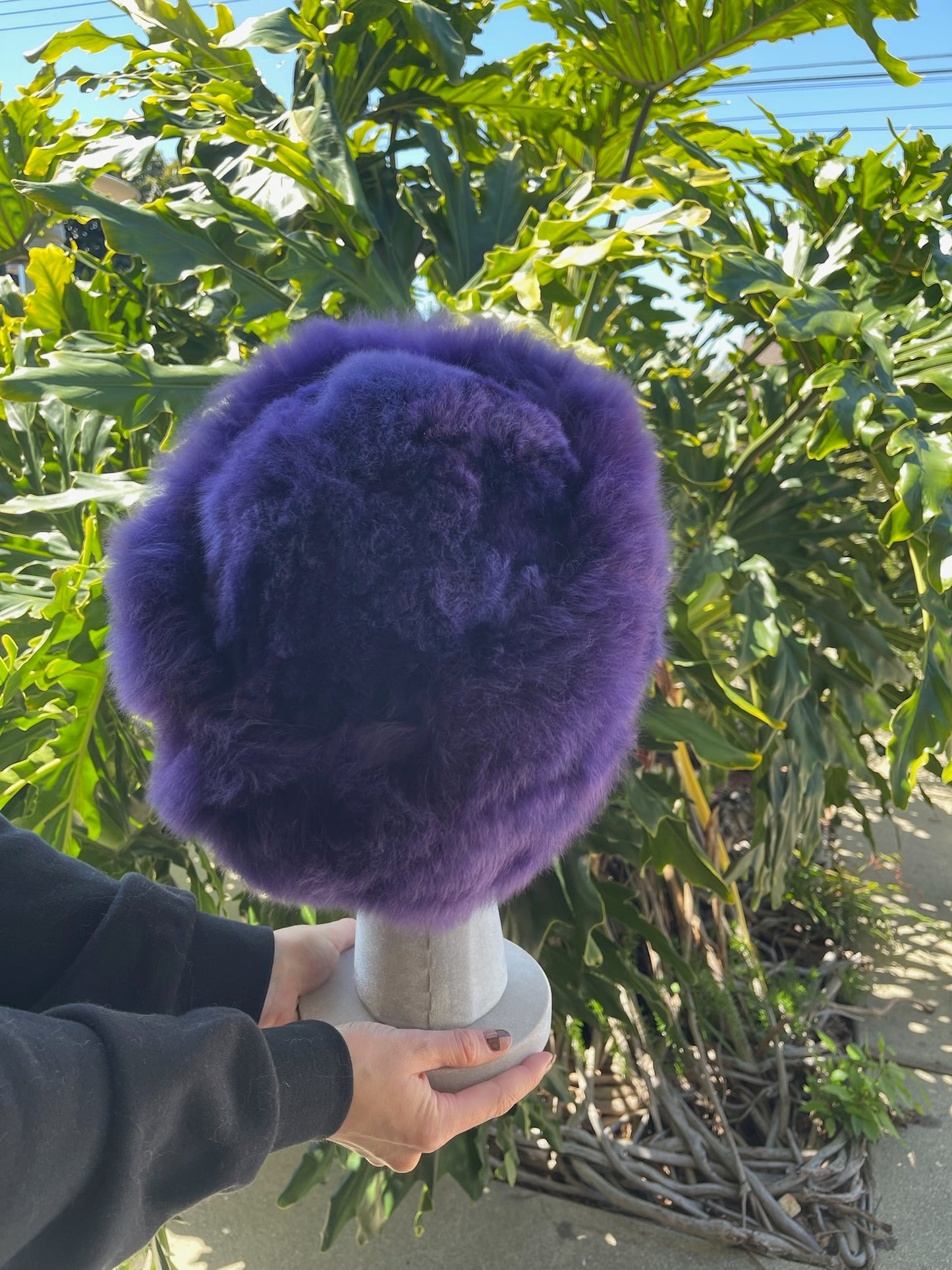 Baby Alpaca Hat - Purple