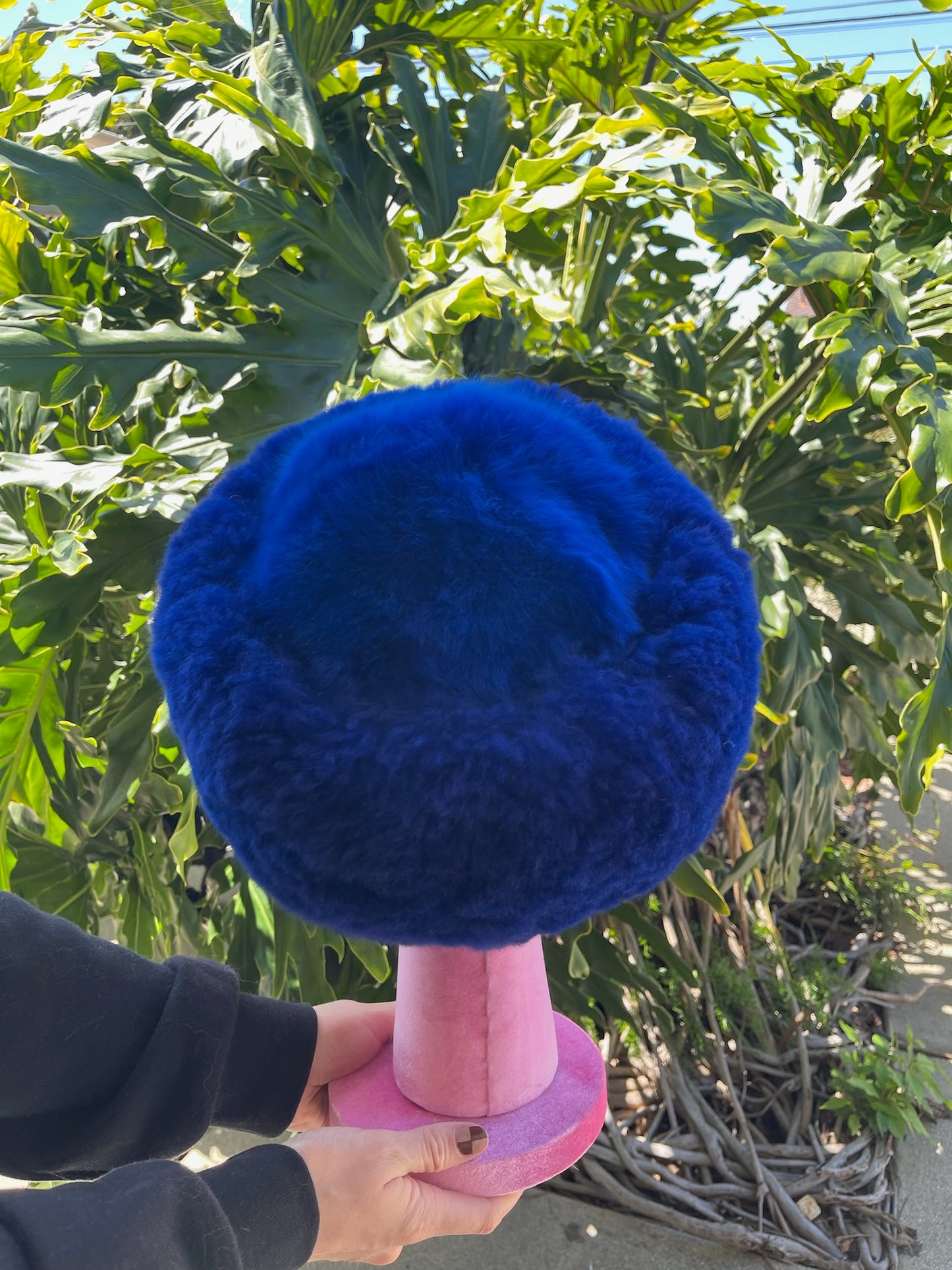 Baby Alpaca Hat - Royal Blue